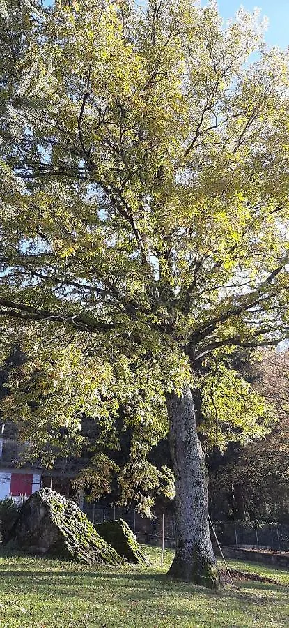 Casetta Di Bismantova Villa Castelnovo ne' Monti Italien